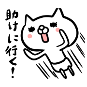 Young,annoying cat