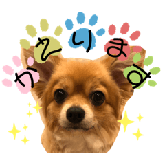 Ayumi_20200419225957