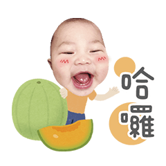 ［蘿蔔豬］呆萌貼圖