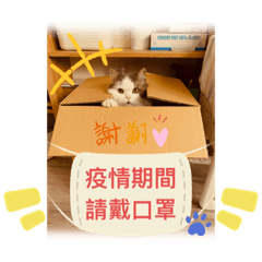 Maggie_20200422204900