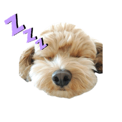 saori_20200419230038