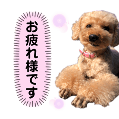 sally_20200420003112