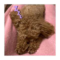 arisa_20200419203817