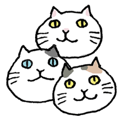 Three cats of good friend