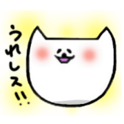 Face cat
