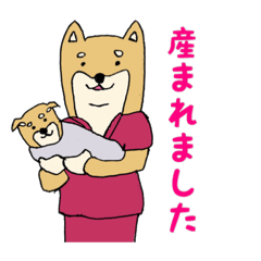 産婦人科医のための柴犬Dogtorスタンプ