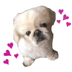 YuKaRi_20200420014538