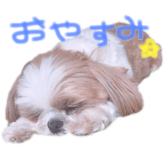 azsc2.