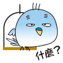 有點惱人的鸚鵡（傳統的中國版）