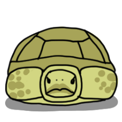 Turtle Life
