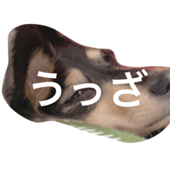 KAYO_2020042010
