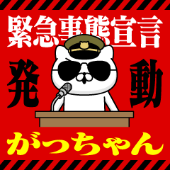 "GACCHAN" Name/Emergency