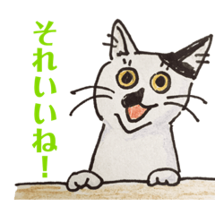 cat stamp(Standard language)