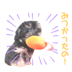 Alice_20200414154715