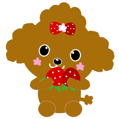Strawberry poodle
