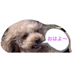 Rina_20200420000730