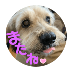 aoi_2020042019528