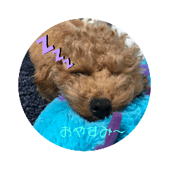 sasakusa_20200420180534