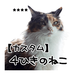 【カスタム】実写猫４匹の日常会話スタンプ