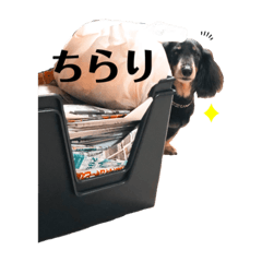 sayuri_20200420220127