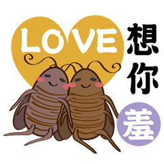 Cockroach couple (Lovely confession)
