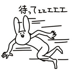 rabbit5