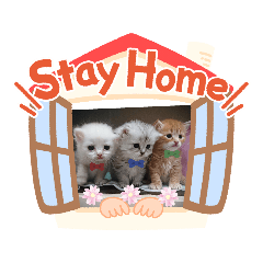 Alice_20200420173114