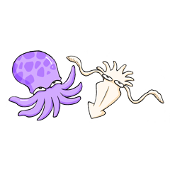 Octo & Squid