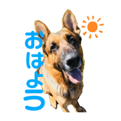 Gsdのエックス君 Line スタンプ Line Store Gsdのエックス君 Line スタンプ Line Store