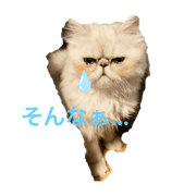 Kiko_20200421010958
