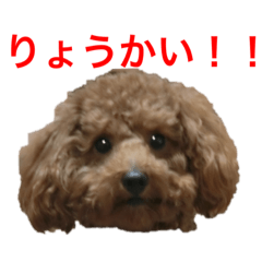 nnnnannna_20200421071926