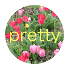 haruna_20200420223632