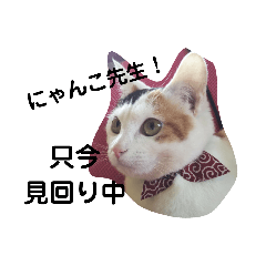 nya28_20200421020440