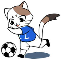 Cat to the soccer