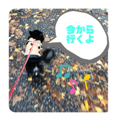 Kota and Azuki 202004