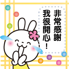 Cute White Rabbit : Message [Chinese]