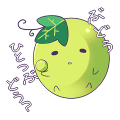 Of Muscat kirari