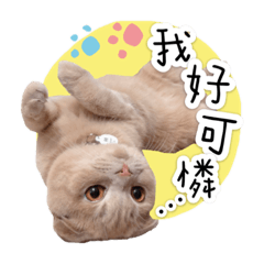 軟爛9的日常