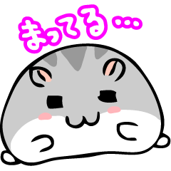 Chubby Djungarian Hamster 'Taro'