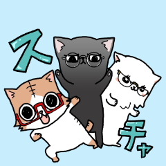 Cats with glasses