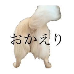 riho_20200421131748