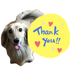 hanachan hajimetenostamp