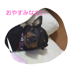 hana_20200415164146