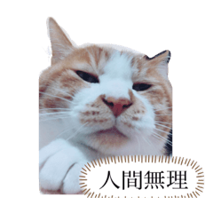 ayumi_20200421145447