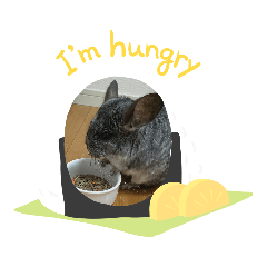 ASAKO_20200421160116