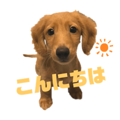 rina_20200421153936