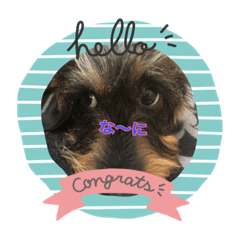 cocoa_20200421153523