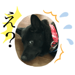 tomomi_20200415204350