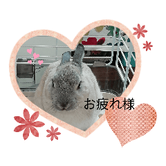 mizuki_20200421125650