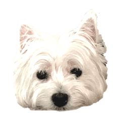 Nene_20200421122107ss33